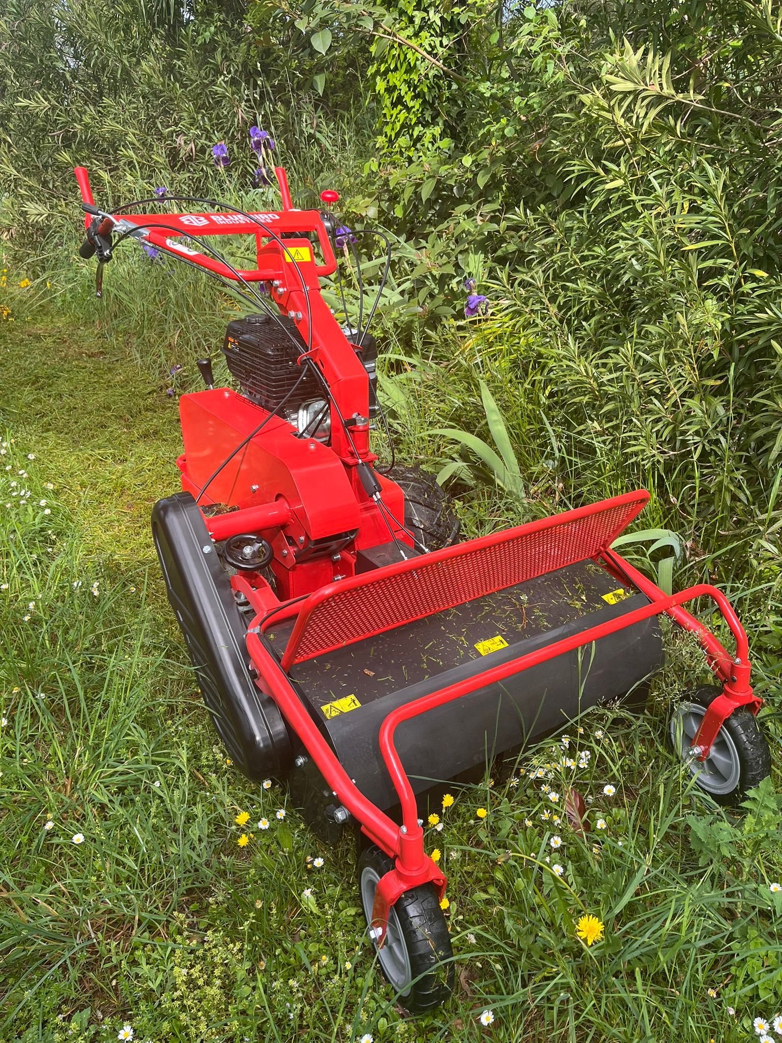 Giardinaggio A&SSE 3